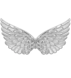srebrne-skrzydla