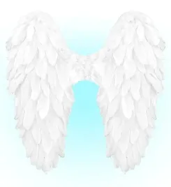 biale-skrzydla-naturalne-piora