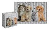 puzzle-250-puppy-sign-4
