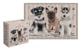 puzzle-250-puppy-sign-2