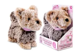 piesek-chodzacy-na-smyczy-brazowy