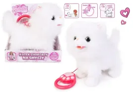 kot-chodzacy-na-smyczy