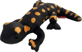 salamandra-plamista-20cm