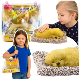 spiacy-labrador-na-poduszce-dzwiek