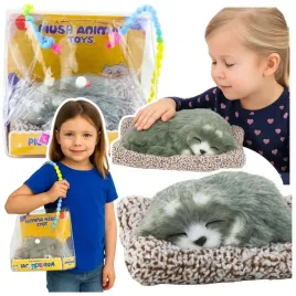 spiacy-husky-na-poduszce-dzwiek