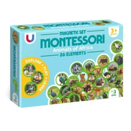 zestaw-magnesow-zwierzeta-na-kontynentach-afryka