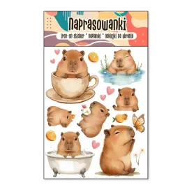 naprasowanki-termo-naklejki-na-ubrania-kapibara