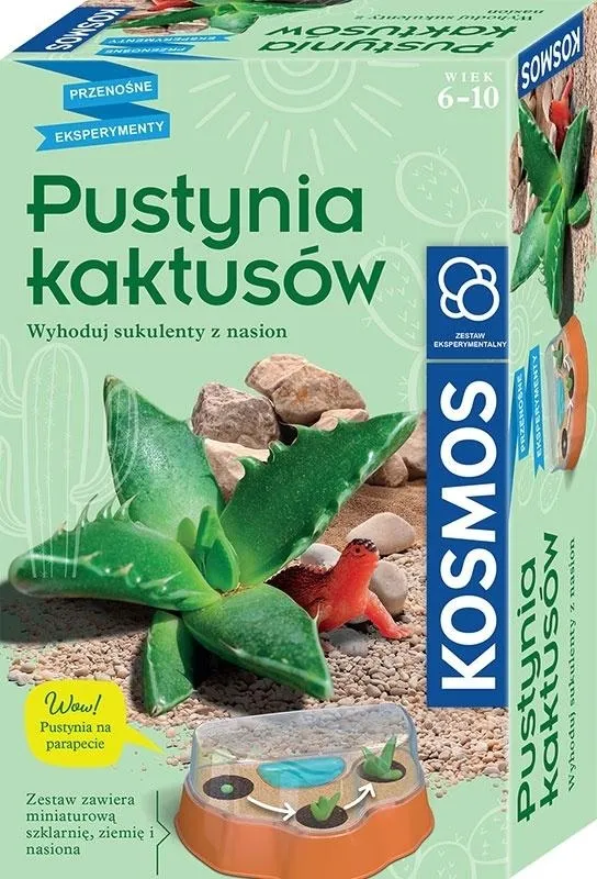 pustynia-kaktusow