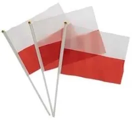 flagi-na-patyczku-3szt