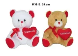 misie-z-serduszkiem-24cm-mix