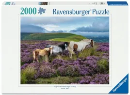 puzzle-2000-wild-horses-in-the-heather