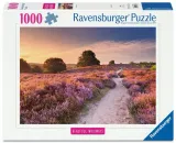 puzzle-1000-pink-pathway