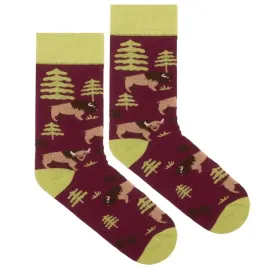 skarpetki-bawelna-organiczna-zubr-42-46