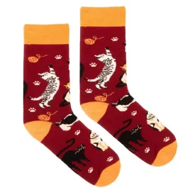 skarpetki-bawelna-organiczna-koty-bordowe-42-46