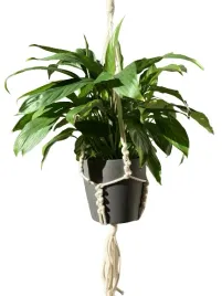 kwietnik-wiszacy-makrama-ze-sznurka-boho-pleciony-kosc-sloniowa-80cm