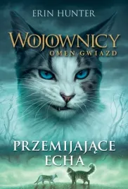 przemijajace-echa-t-2-omen-gwiazd-hunter-wojownicy