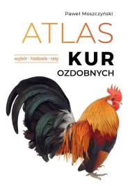 atlas-kur-ozdobnych-wybor-hodowla-rasy-pawel-moszczynski