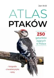 atlas-ptakow-250-gatunkow-zyjacych-w-polsce-jan-krol