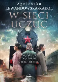 w-sieci-uczuc-agnieszka-lewandowska-kakol-powiesc-obyczajowa
