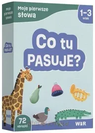 moje-pierwsze-slowa-co-tu-pasuje-agnieszka-fabisiak-majcher
