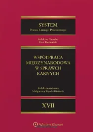 system-prawa-karnego-procesowego-t-17