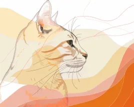 plakat-50x40cm-delikatny-profil-kota