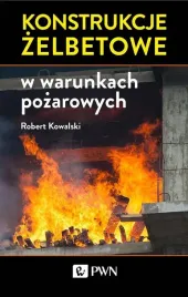 konstrukcje-zelbetowe-w-warunkach-pozarowych-dr-hab-inz