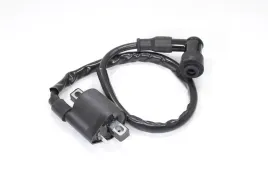 cewka-zaplonowa-am6-50-cc-yamaha-tzr-rs-dt50-rieju