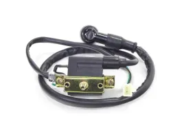 cewka-zaplonowa-atv-125-fuxin-wb-or-roy01497