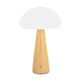 struhm-lampka-stolowa-z-akumulatorem-sosna-trufla-led-15w-75lm-cct-dim-usb