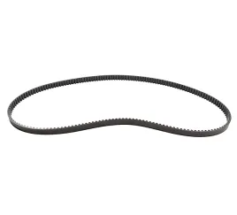 pas-napedowy-carbon-drive-srv600v-or-60310pc20000-qj