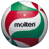 pilka-molten-v5m2500