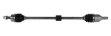 polos-corsa-d-adam-06-p-hart
