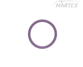 oring-wtryskiwacza-daf-cf75-xf95-xf105-delphi