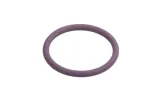 oring-wtryskiwacza-daf-cf75-xf95-xf105-delphi-marka-delphi