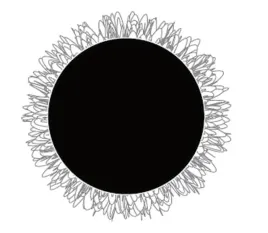 aq-12-pad-polerski-z-rzepem-welna-75-mm-rooks