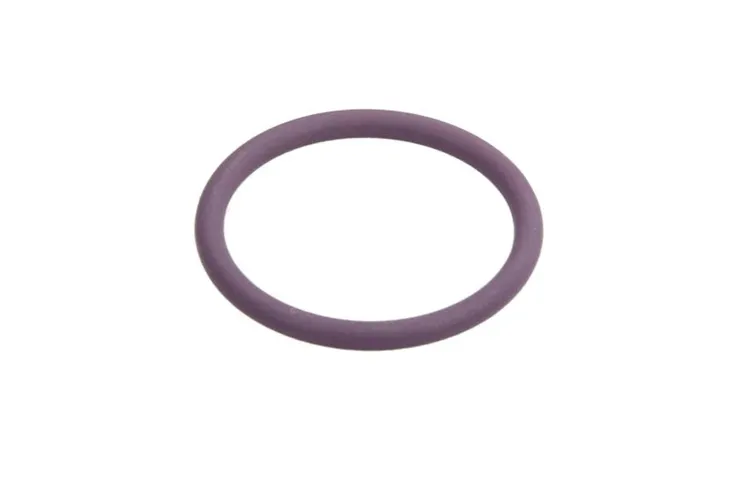 oring-wtryskiwacza-daf-cf75-xf95-xf105-delphi-marka-delphi