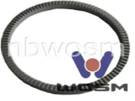 pierscien-abs-bpw-100z-zeliwny-sampa