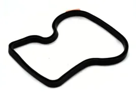 uszcz-pokr-klaw-scania-ds-dsc9-sampa