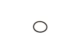 oring-bosch-1-460-210-349