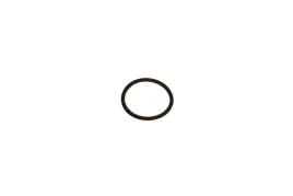 oring-bosch-1-460-210-349