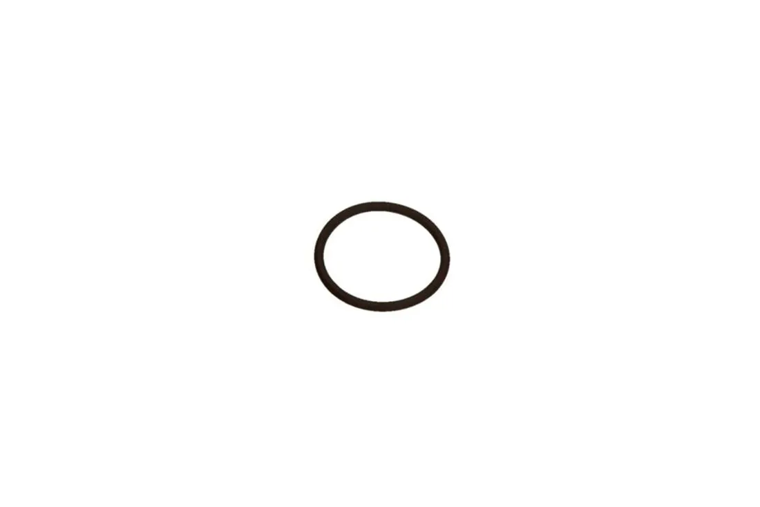 oring-bosch-1-460-210-349