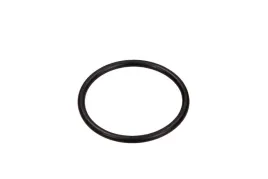 uszczelka-termostatu-vw-golf-1-8-83-fe17966-febi