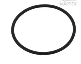 oring-wtryskiwacza-daf-xf-95105-delphi