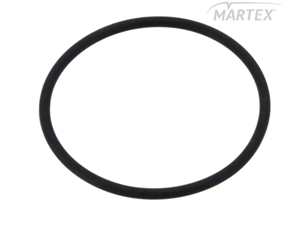 oring-wtryskiwacza-daf-xf-95105-delphi