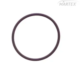 oring-wtryskiwacza-daf-xf-95105-delphi