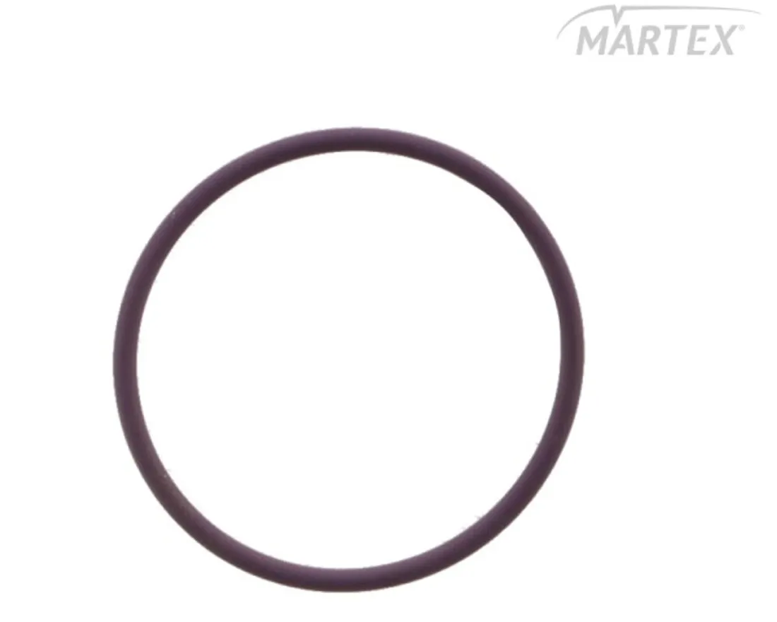 oring-wtryskiwacza-daf-xf-95105-delphi