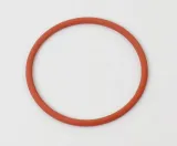 oring-wtryskiwacza-daf-xf-95105-delphi