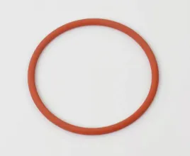 oring-wtryskiwacza-daf-xf-95105-delphi