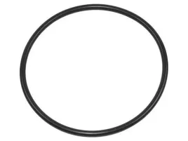 oring-piasty-daf-110x5-pe-automotive